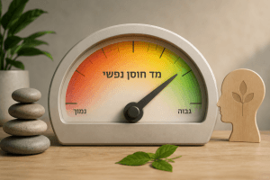 מנוי חודשי למחשבונים באפליקציית דיוק